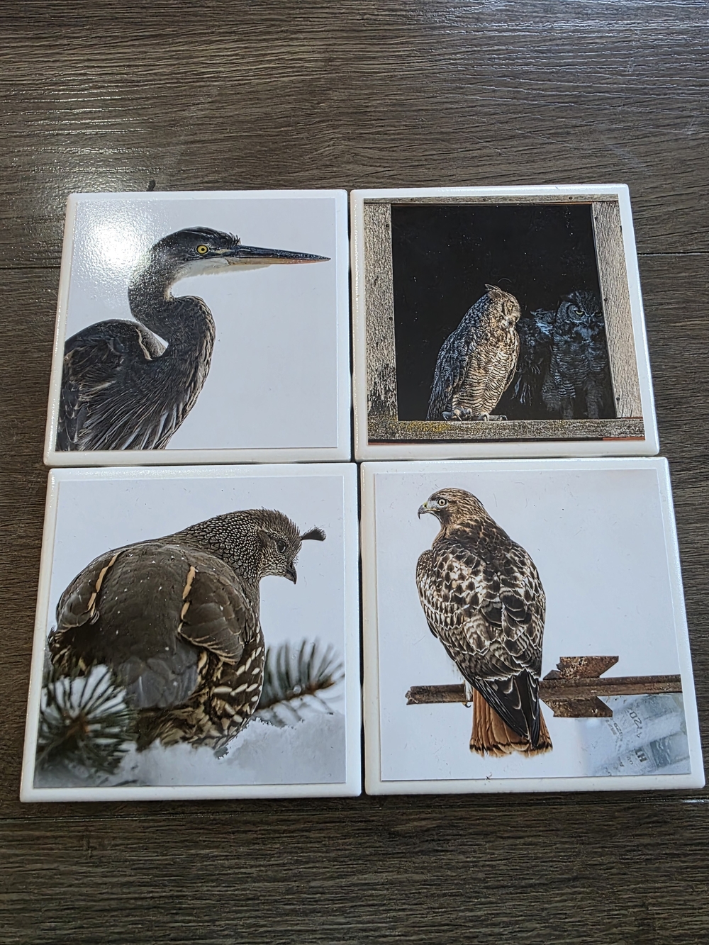 Wildlife Photo Ceramic Coaster Set of 4 heron,owl,grouse,hawk